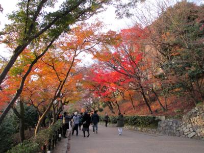 在东京买房有什么注意要点？