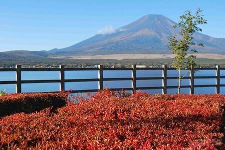 境外投资持续火热，小居告诉你为什么东京房产
