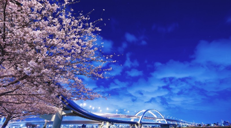 东京房产最具投资人气