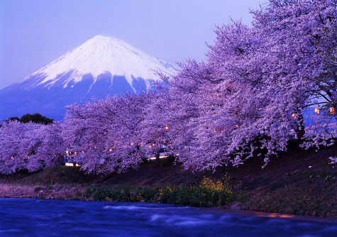 投资东京房产能够获得多少收益？