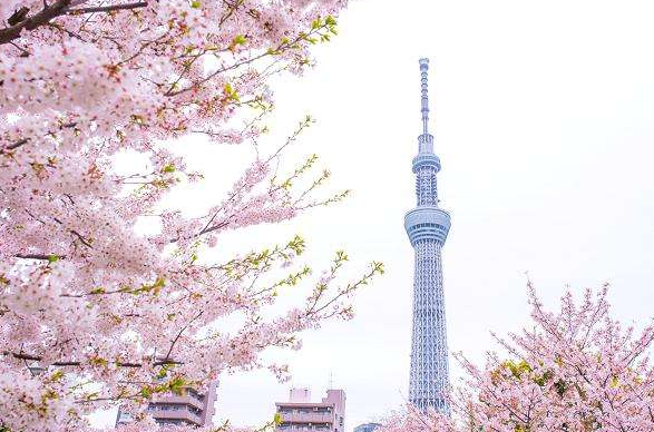 东京买房,选择楼层有学问