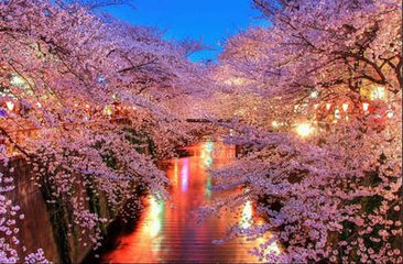 东京买房有哪些是值得注意要点？