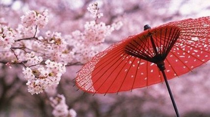 东京大学租房注意事项