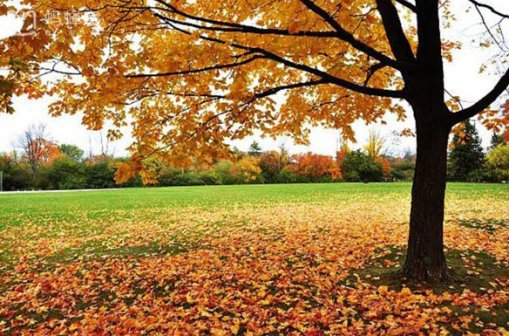 中国投资者盯上日本东京房产